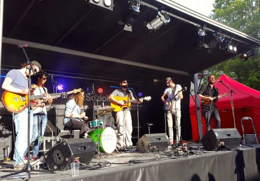 Memory Of An Elephant