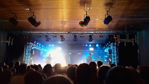 The Gardener & The Tree